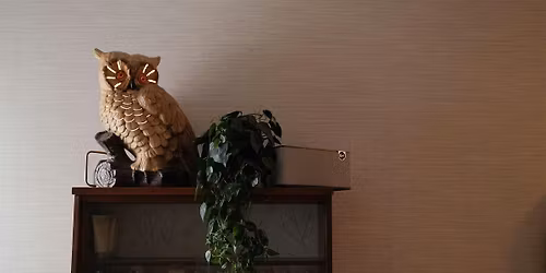 Foundational Haircutting - Diagonal forward One length