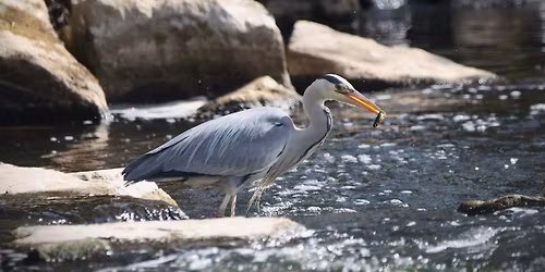 Indoor Talk: Aire Miles