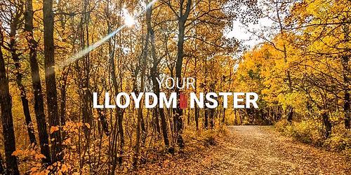 Firearms safety courses