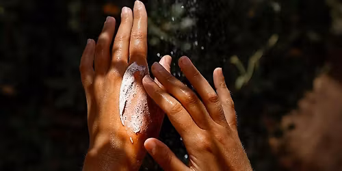 Introduction to Natural Skincare + the Foundations of Healthy Skin