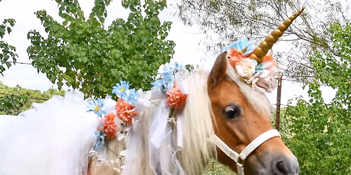 Unicorn & Superhero Pony camp kids 18 Months - 7yr