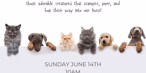 Pet Blessing