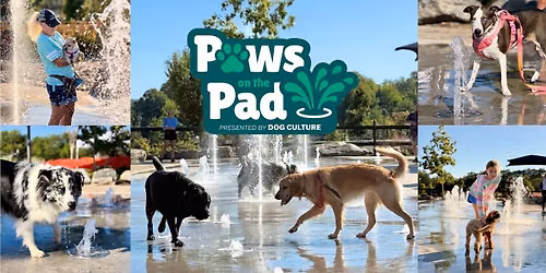 Paws On the Pad