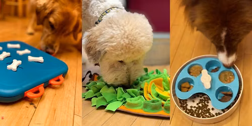 \ud83c\udfc5 The Pawlympics - Benefitting The APA of Missouri