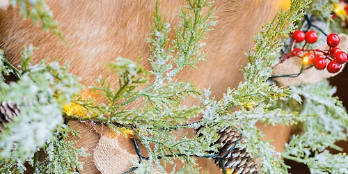 Cowboy Christmas Mini Sessions by Brazen Mare Photography