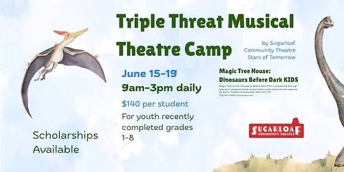 Triple Threat Musical Theatre Camp