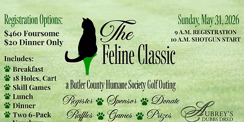 The Feline Classic