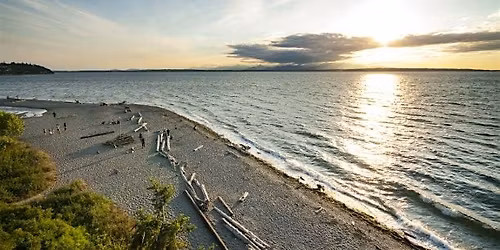 Find Your Own \/ Cut Your Own - Carkeek Park (Tuesday\/Wednesday)