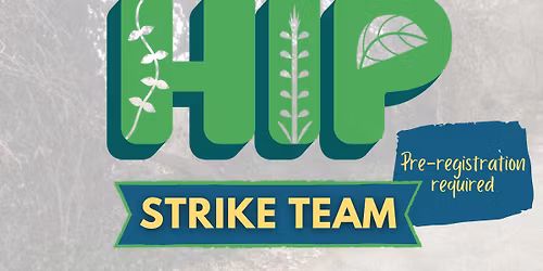 Forest Park Strike Team