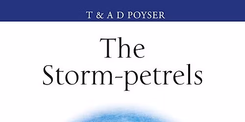 The storm-petrel