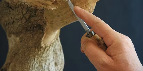 January 2026 meeting