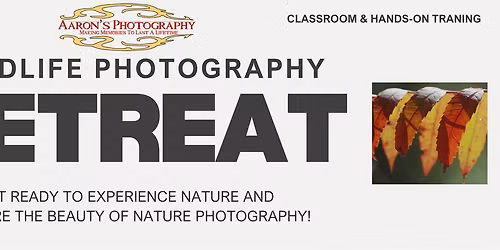 Wildlife Photography Retreat - Classroom & Photo Expedition