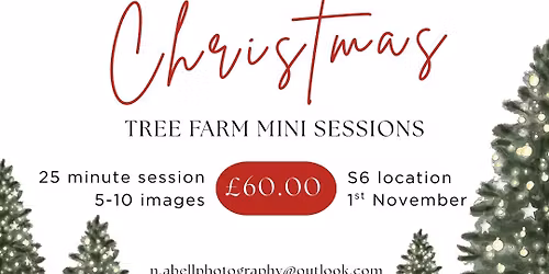 Christmas Tree Farm Mini Sessions