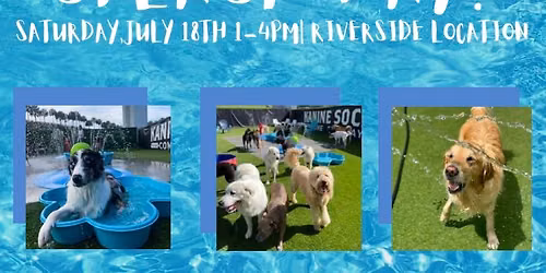 Splash Day!