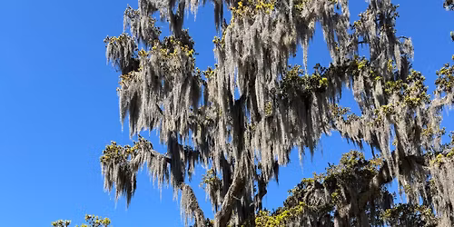 National Trails Day 2026 Guided Hike