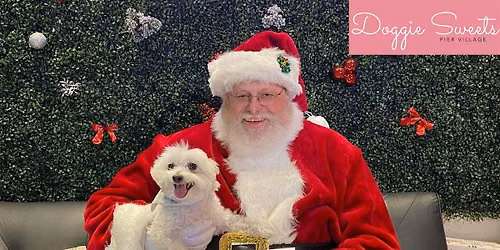 Pictures with Santa & Aussie Group