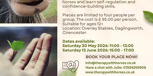 Learn to Manage Anxiety: A Workshop with Horses