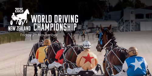 World Driving Championship Race Night \ud83c\udfc6\ud83d\udc34