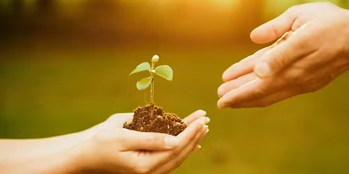 UNDERSTANDING THE ROOTS: EXPLORING THE HIDDEN NORMS THAT SHAPE OUR WORK AND OUR WORLD