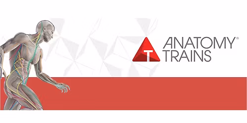 Anatomy Trains in Structure and Function