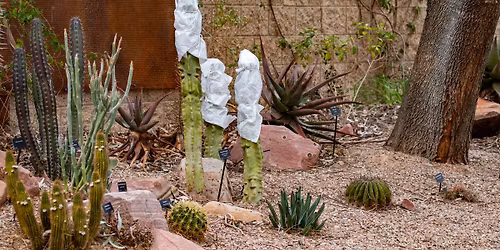 Garden Class: Winterizing Your Garden