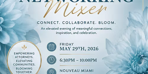 Professional Networking Mixer