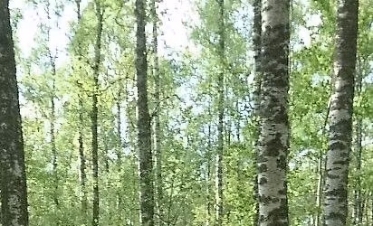 Frig\u00f6rande dans i Uppsala-workshop med Anna Persson