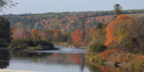 Annual General Meeting