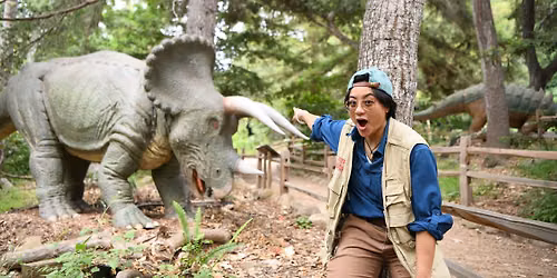 Dinosaur Safari
