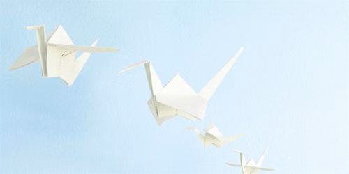 Origami Workshops_Summer 2026