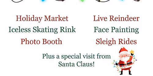 Christmas Tree Lighting