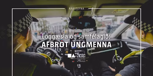 L\u00f6gg\u00e6sla og samf\u00e9lagi\u00f0 \u2014 Afbrot ungmenna