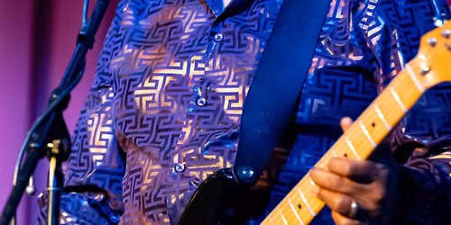 Mike Wheeler Chicago Blues Band