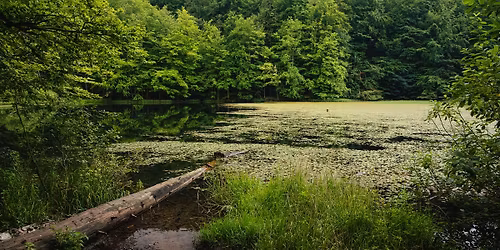 Wyjazd w Bieszczady  8-10.11 2025 r.