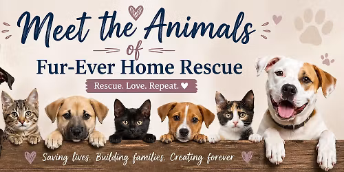 Meet the Animals of Fur-Ever Home Rescue