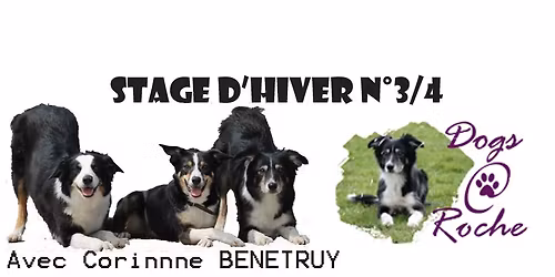 Stages d'hiver N\u00b03\/4