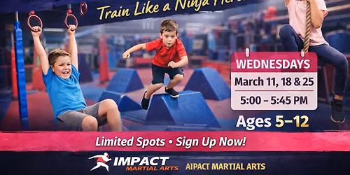Ninja Warrior 3 Week Course