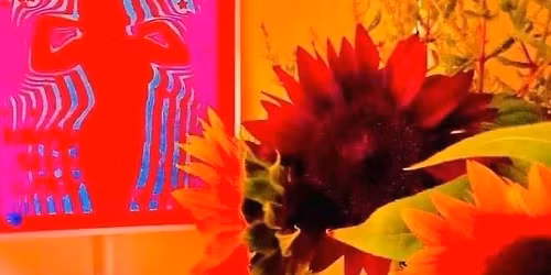 BLACKWOLF @GRANTS TAVERN