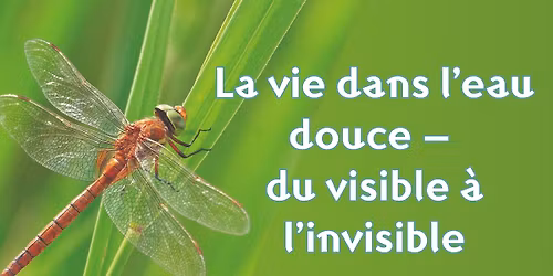 La vie dans l\u2019eau douce \u2013 du visible \u00e0 l\u2019invisible