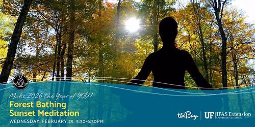 Forest Bathing Sunset Meditation