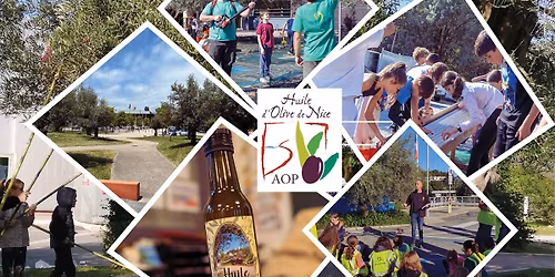 \ud83c\udf3f OLIVADE VILLENEUVOISE 2025 - SAM. 8 NOVEMBRE \ud83c\udf3f