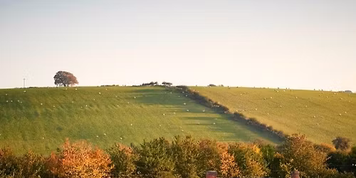 FFG Supper Club - Welsh lamb