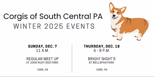 Corgi Night at Bright Nights, WellSpan Park