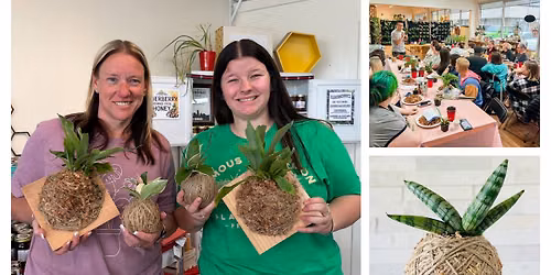 Workshop - Kokedama & Wall Mounted Art