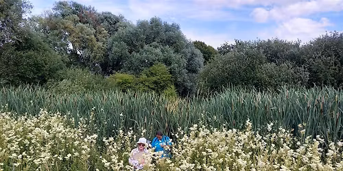 A Walk in the Park - Cowslip Meadow