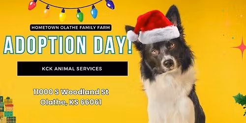 Adoption Day! Friends of KCK Animal Services | Dec 13th