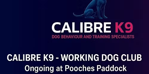 Saturday Morning Dog Club