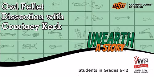 Owl Pellet Dissection (Grades 6 - 12)