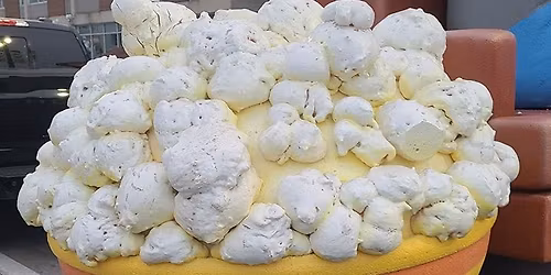 Frenchtown Makers Market 