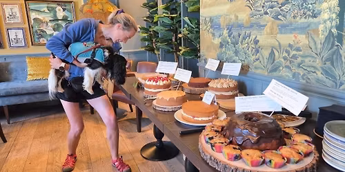 Cake + Cuppa come and meet each other \ud83e\ude77\ud83d\udc3e